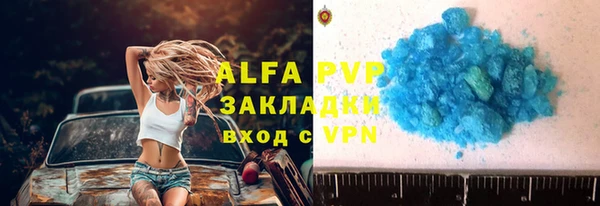 стафф Карпинск