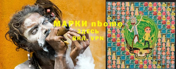 стафф Карпинск