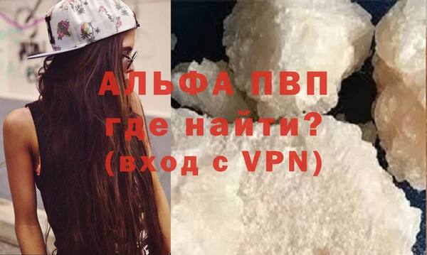 стафф Карпинск