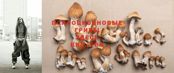 стафф Карпинск