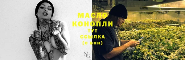 молекула духа Касимов